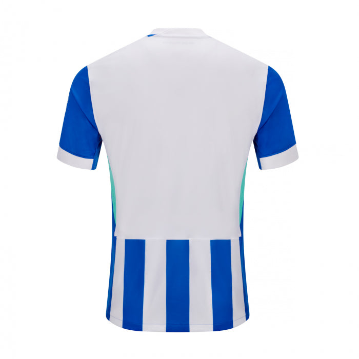 Brighton & Hove Albion 25/26 Home Jersey Master Quality without Shorts