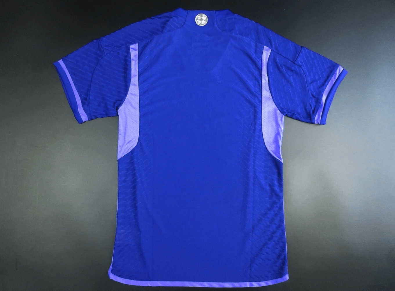 22/23 World Cup Argentina National Team Football Jersey without shorts (Player Version)